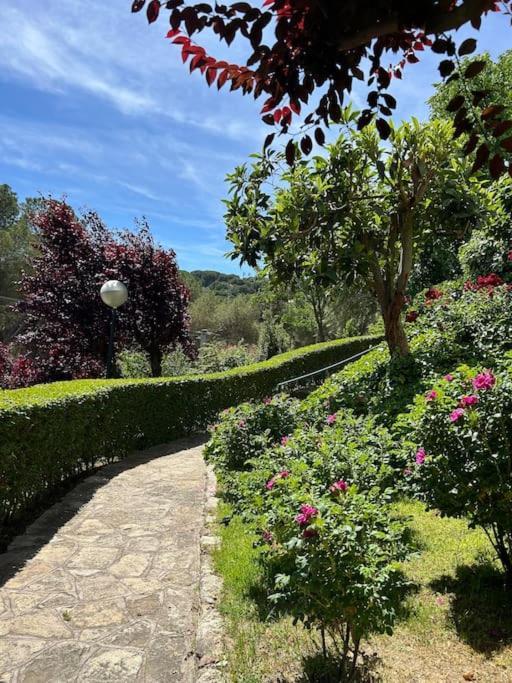 Apartamento De Lujo Vergel Suite San Martín de Valdeiglesias Eksteriør billede